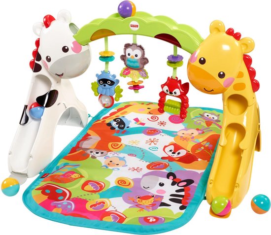 Fisher-Price Baby Tot Peuter Speelgym