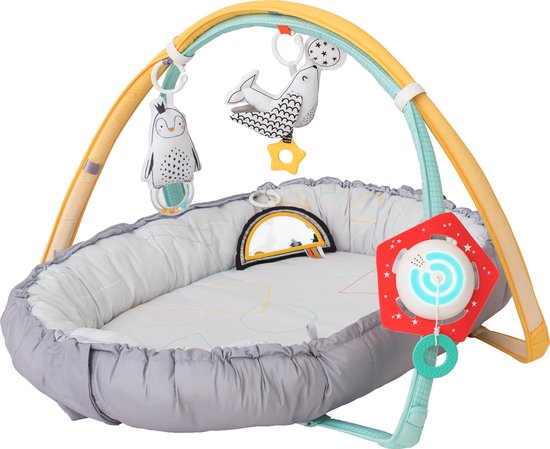 Taf Toys Babynestje en babygym in 2 in 1 met afneembare bogen en speeltjes - met licht en afneembaar muziekdoosje