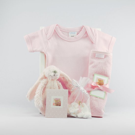 Babygeschenk I Geboorte geschenk I Babyshower I Kraamcadeau I romper I slab I dochter I meisje I rose I rammelaar Happy Horse