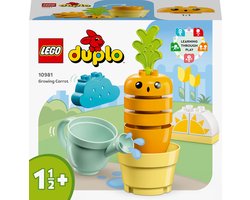 LEGO DUPLO Mijn eerste Groeiende wortel Speelset - 10981